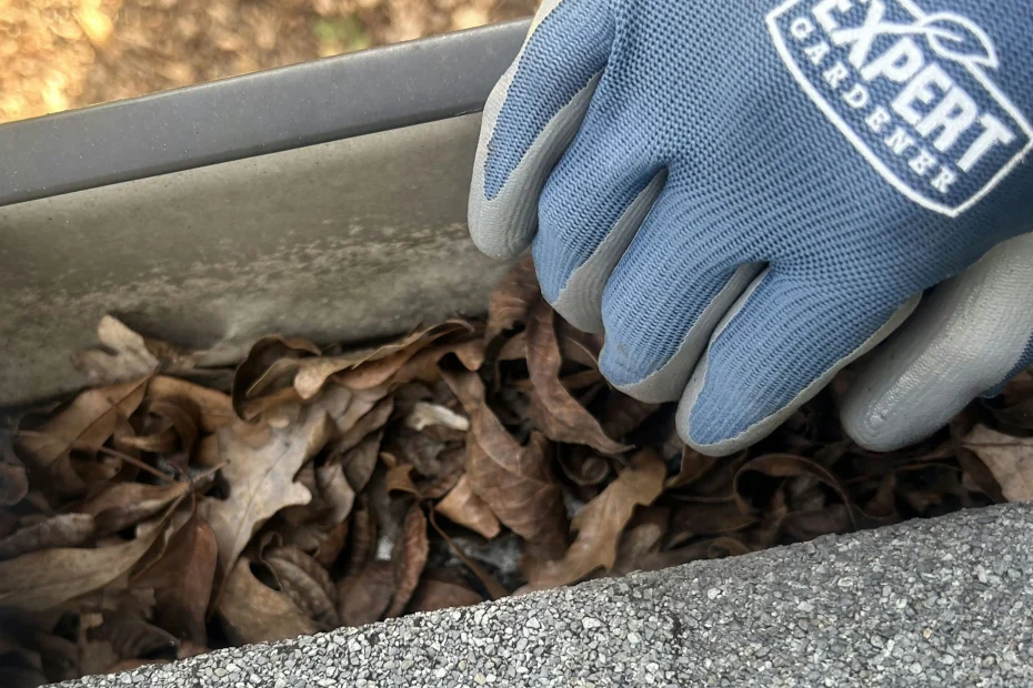 Gutter Cleaning Hanahan