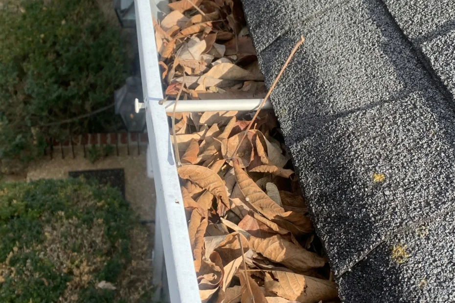 Gutter Cleaning Hanahan