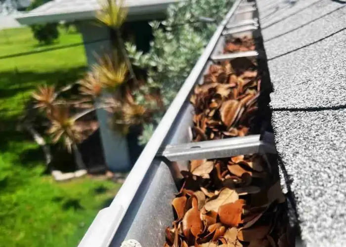 Gutter Cleaning Hanahan home page